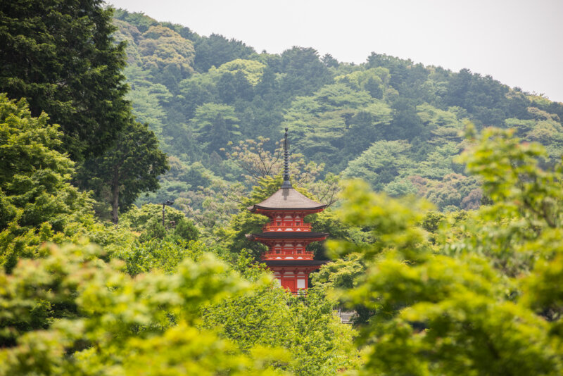 Japonsko, dovolenka s BUBO