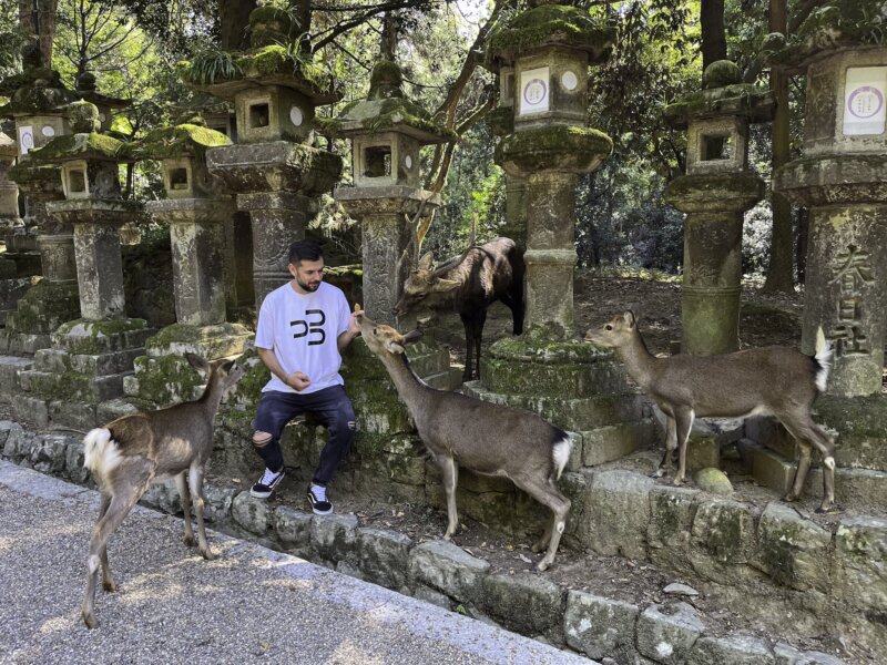 Nara, Japonsko, BUBO