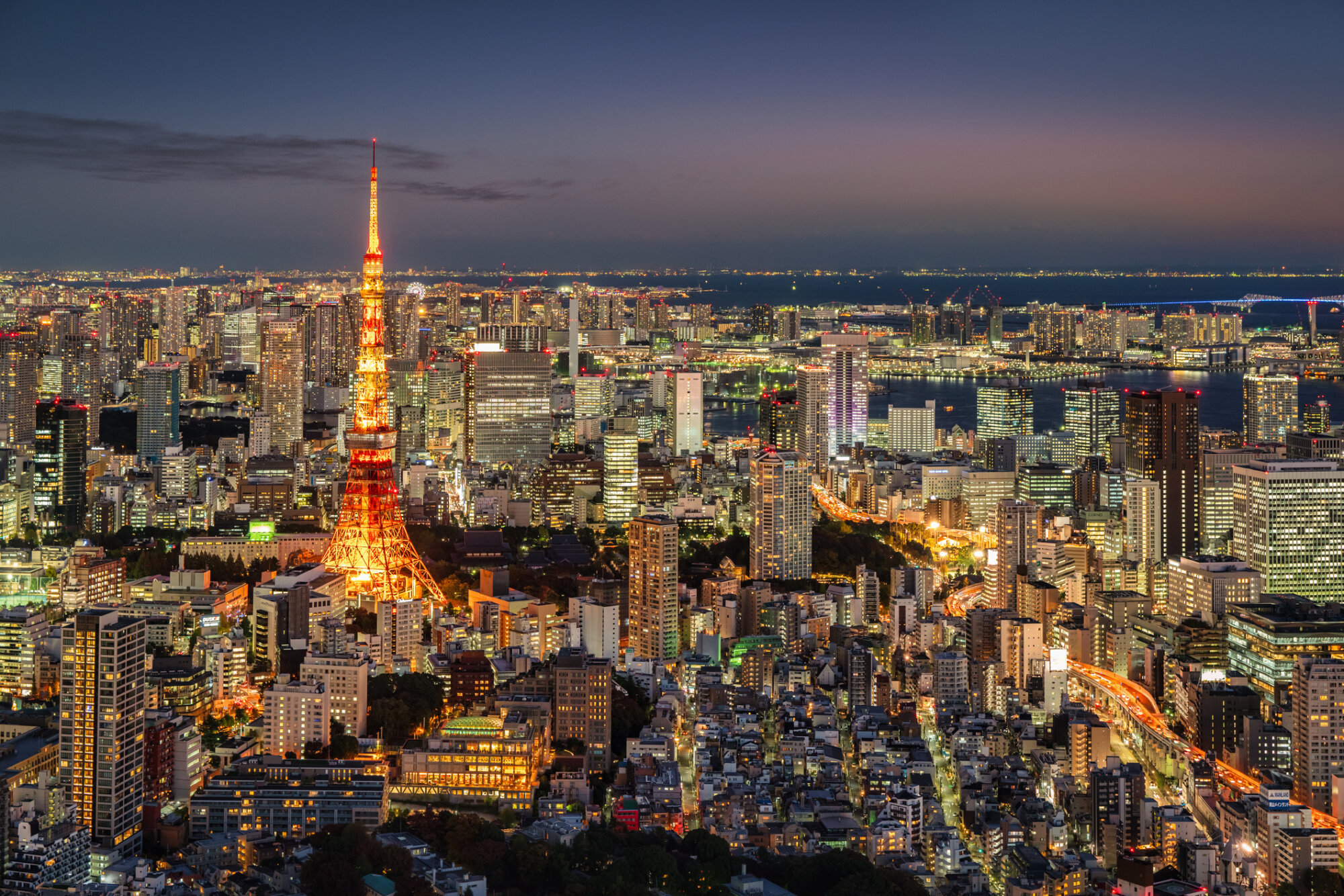 Tokio, Japonsko, BUBO