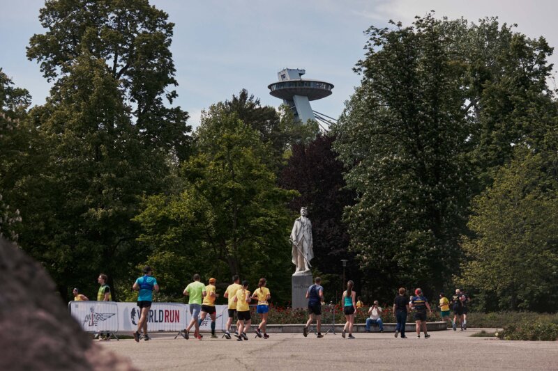 wings for life 2024 bratislava