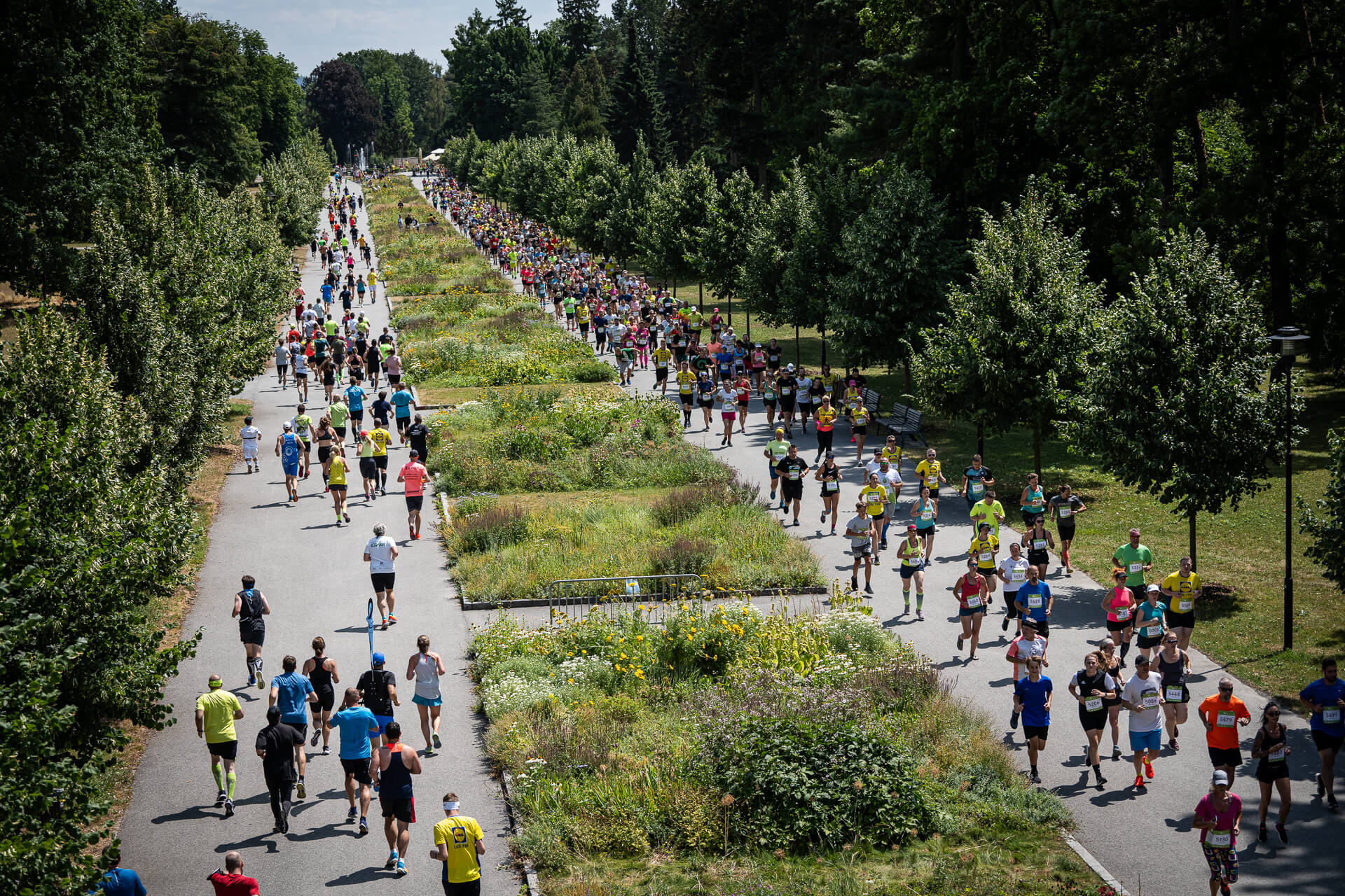 čez runtour 2024