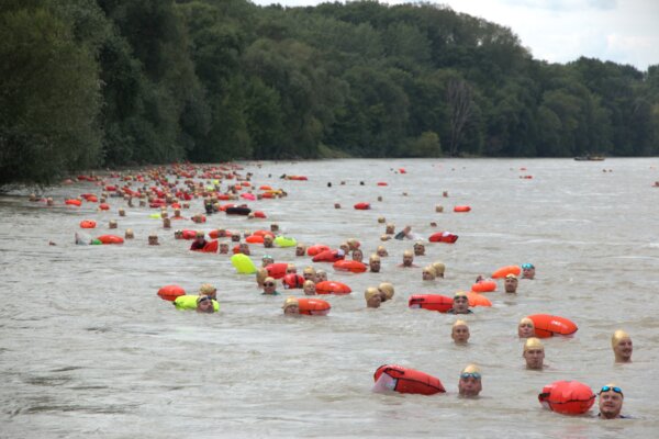 trans danube swim