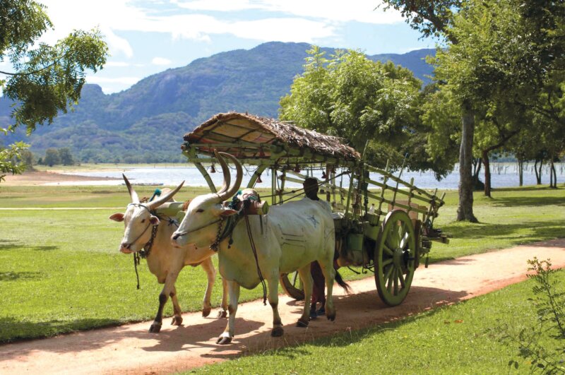 Srí Lanka