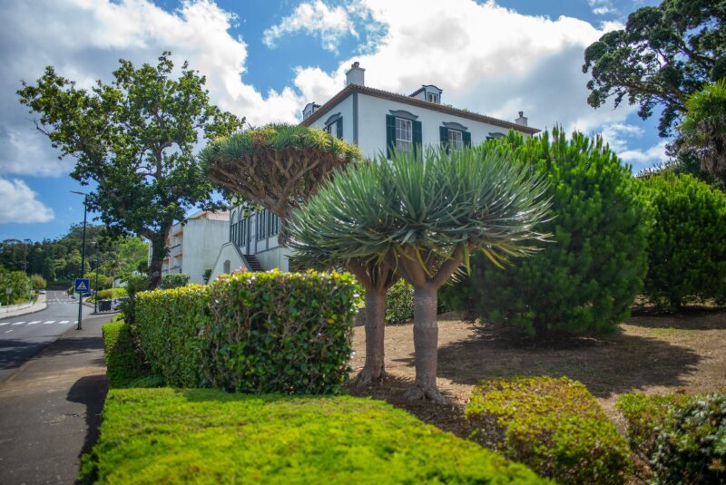 Azory, cestovanie s BUBO