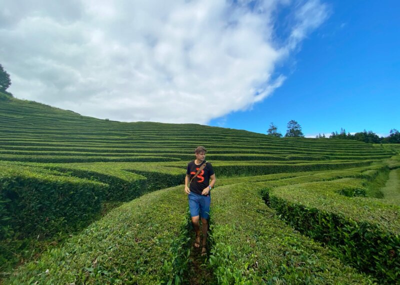 Azory, cestovanie s BUBO