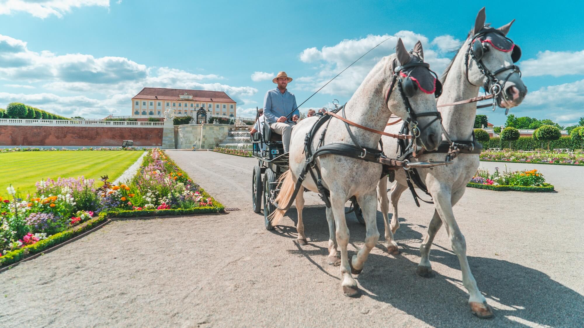 Konský záprah na zámku Schloss Hof