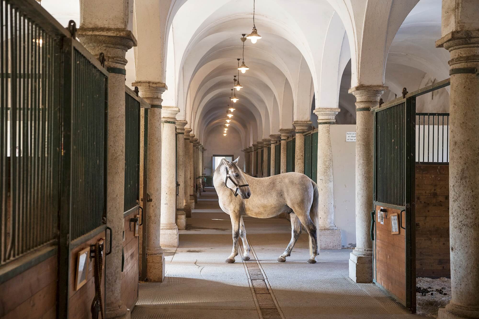 Statok na zámku Schloss Hof