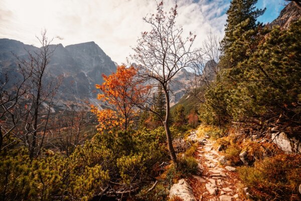 Zelené pleso, Vysoké Tatry