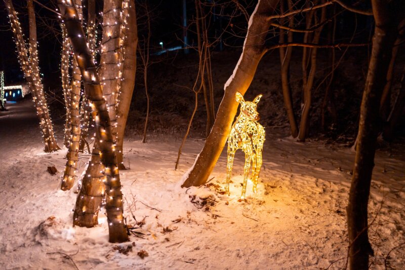 Foto: Peter Maier.