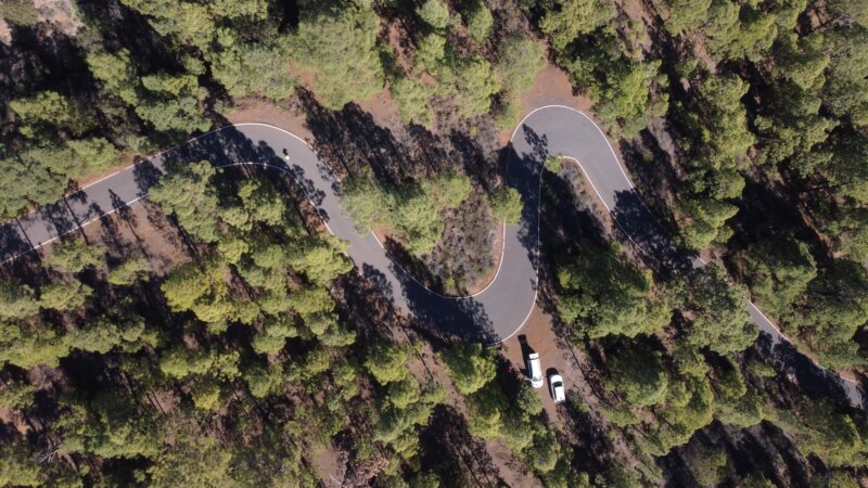 Longboarding