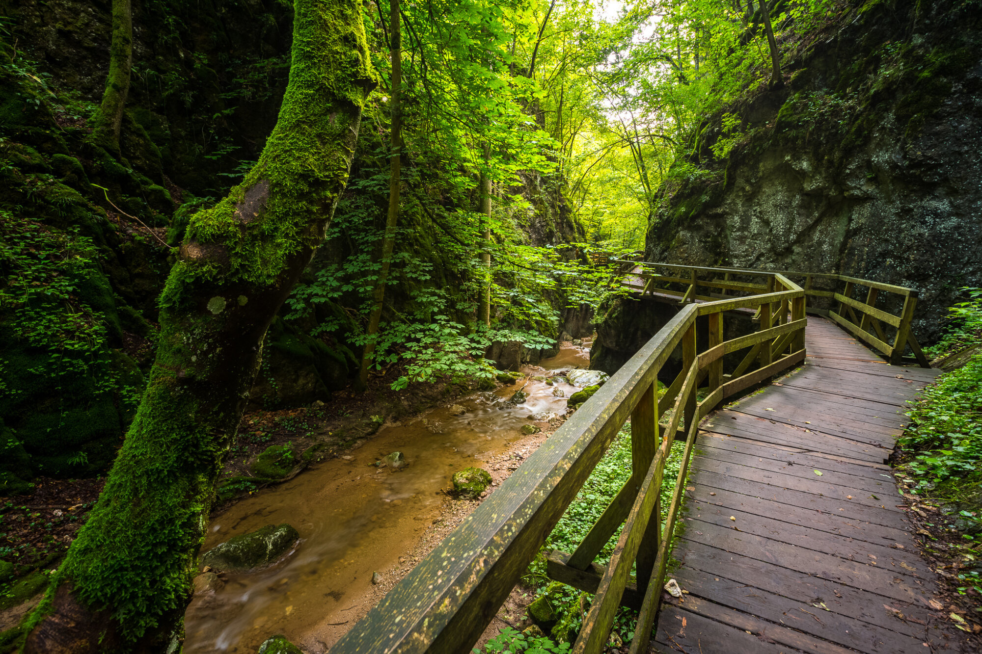 Johannesbachklamm