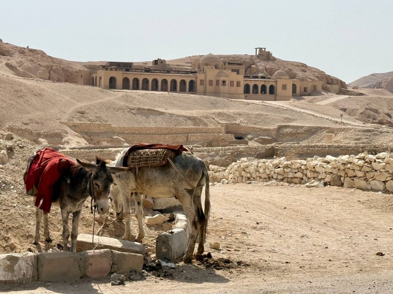 Egypt, cestovanie s BUBO