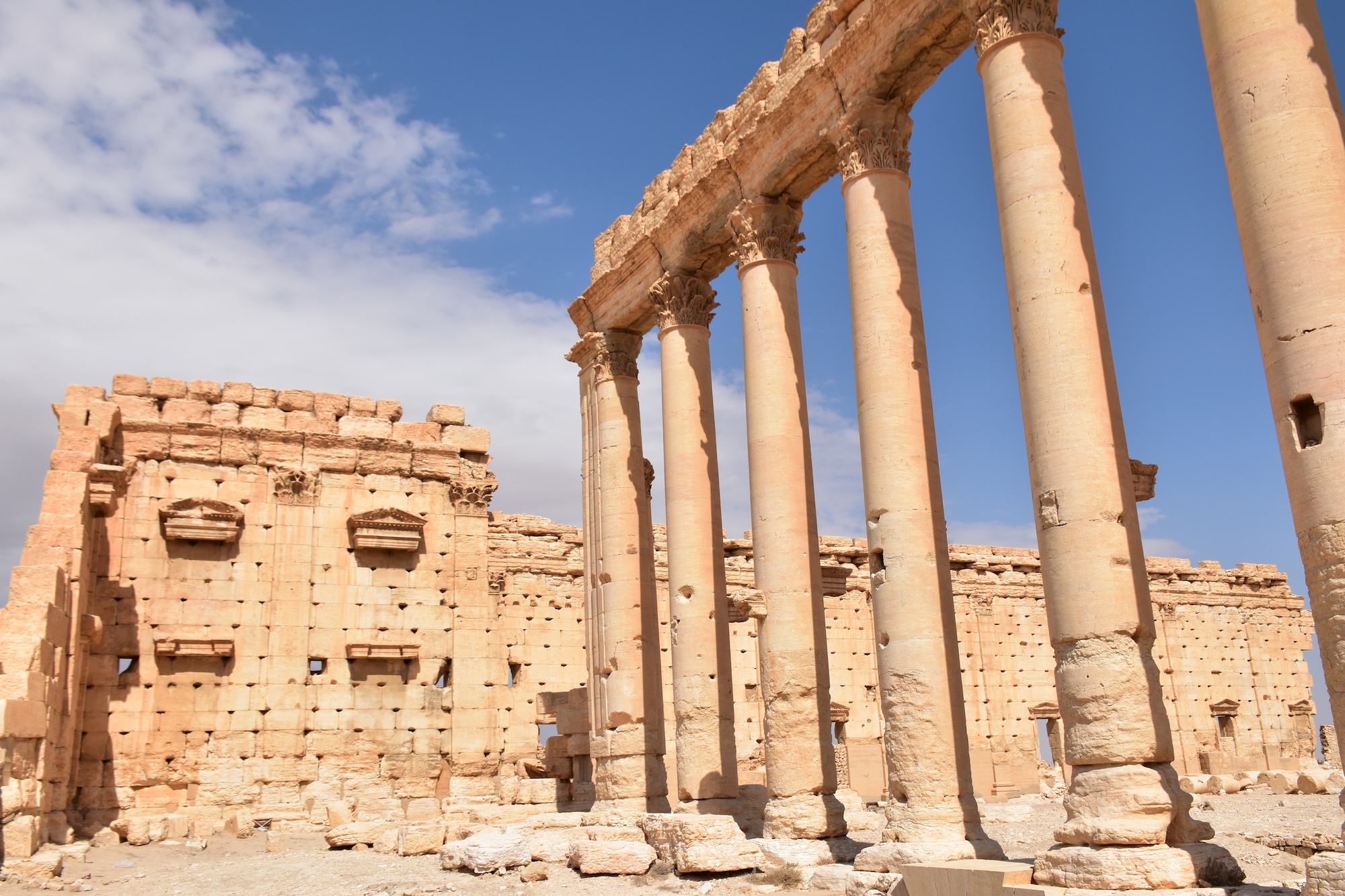 Palmýra, cestovanie s BUBO