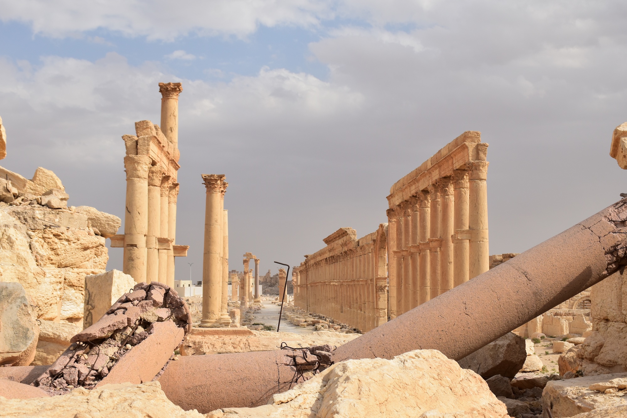 Palmýra, cestovanie s BUBO