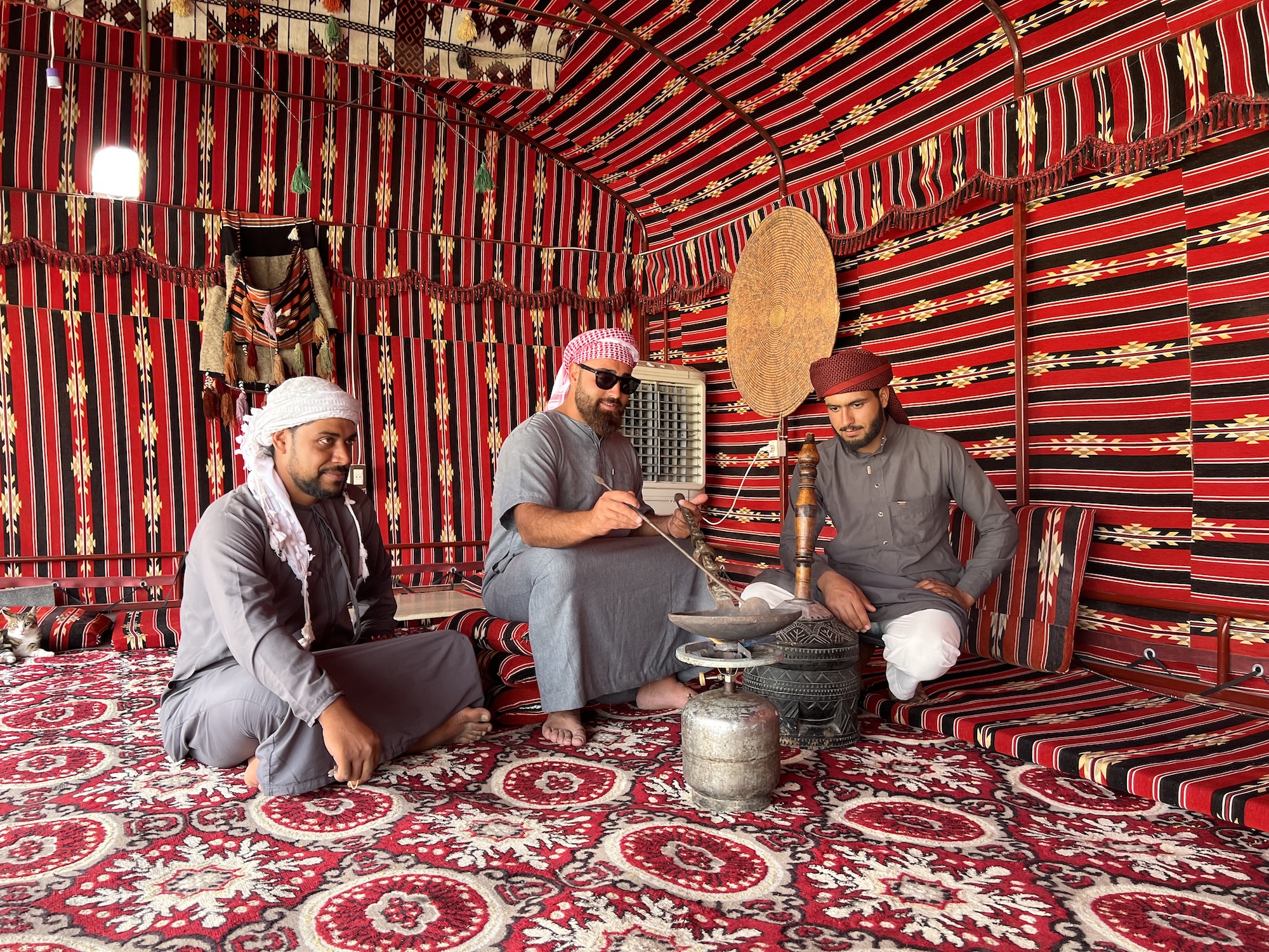 Palmýra, cestovanie s BUBO