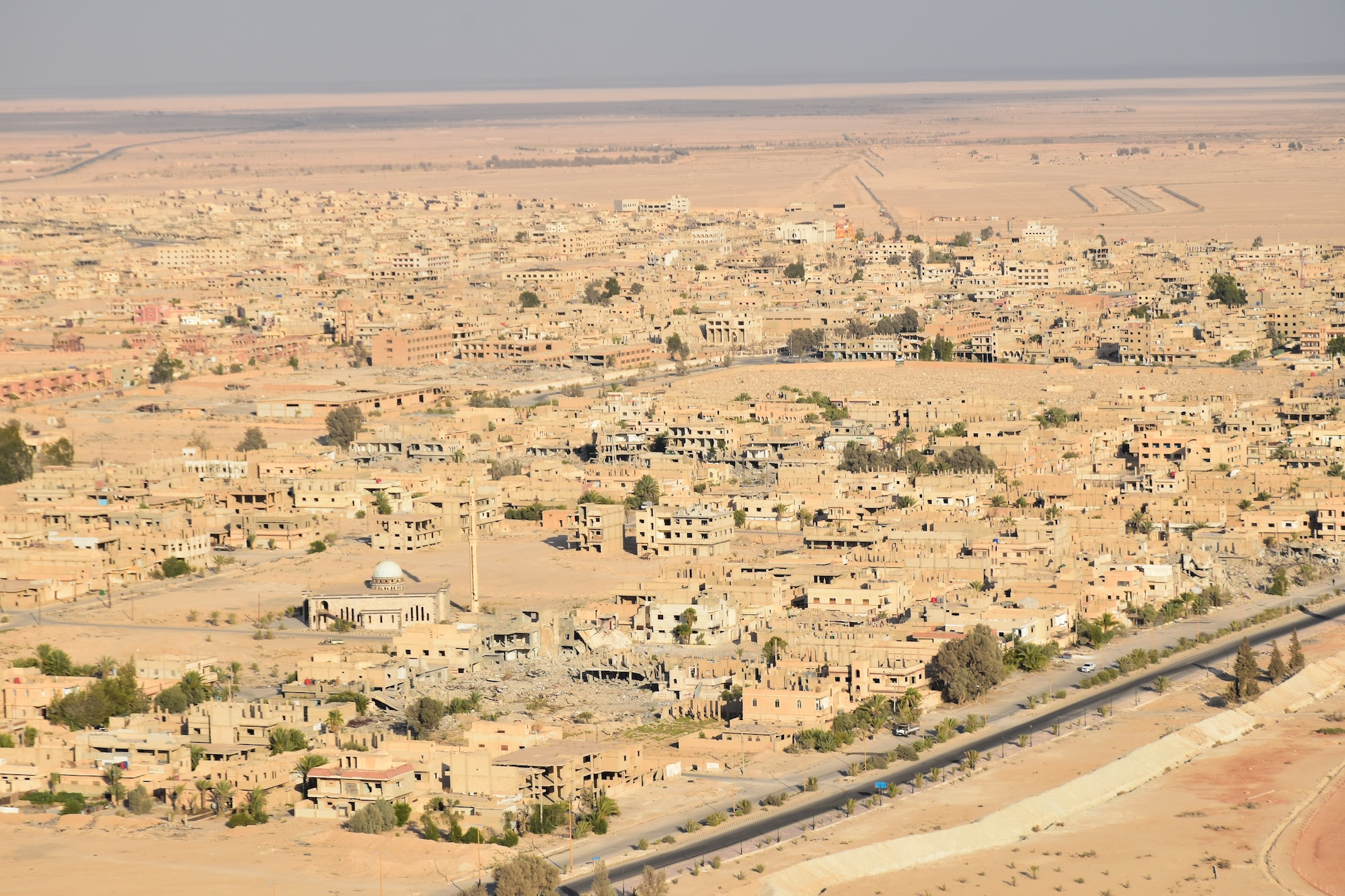 Palmýra, cestovanie s BUBO