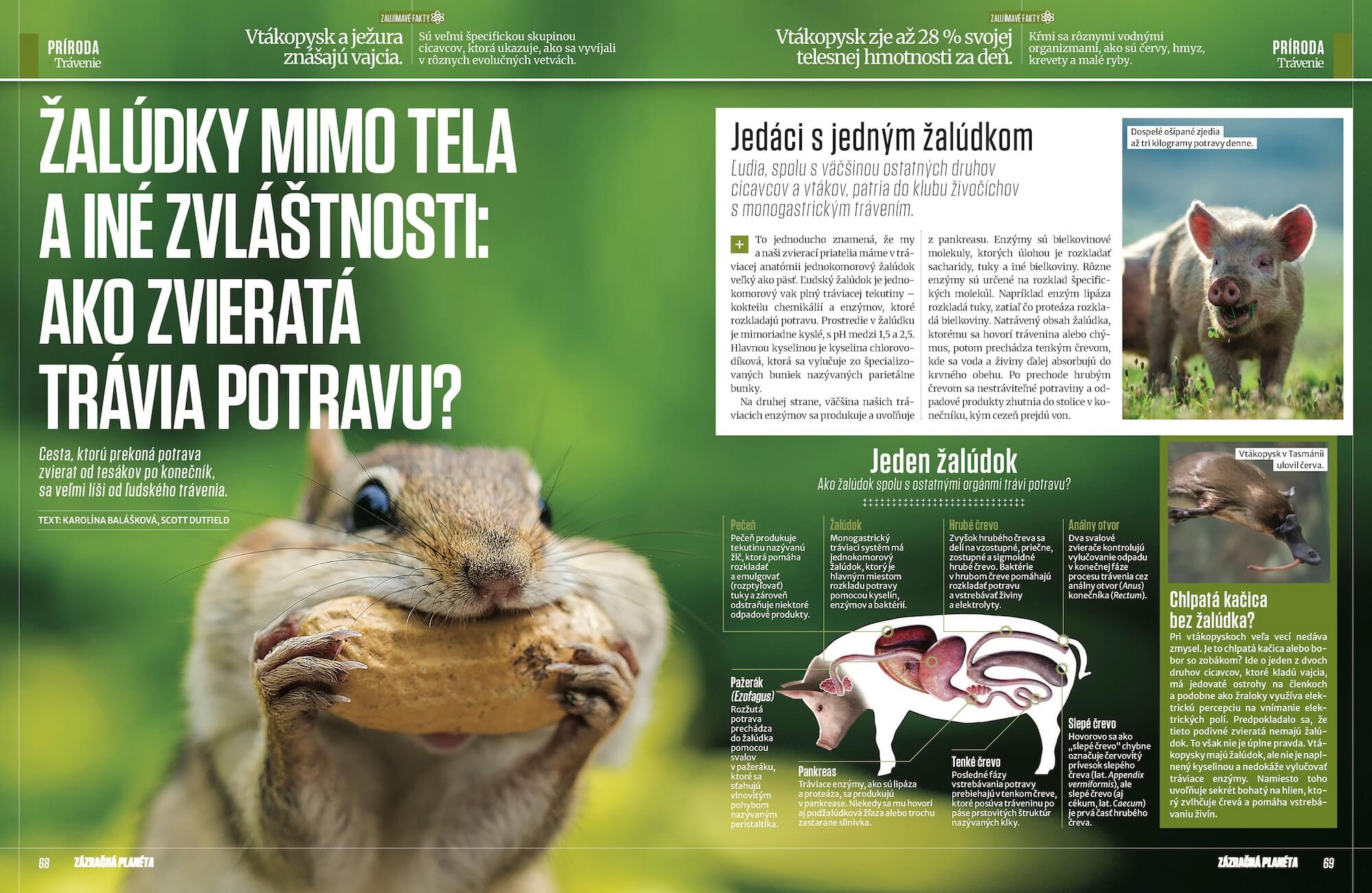 Zázračná planéta 1/2026