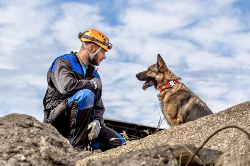Hector: Neobyčajný príbeh záchranárskeho psa spod Tatier  