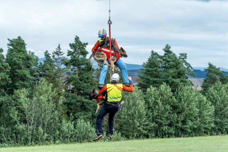 Hector: Neobyčajný príbeh záchranárskeho psa spod Tatier  