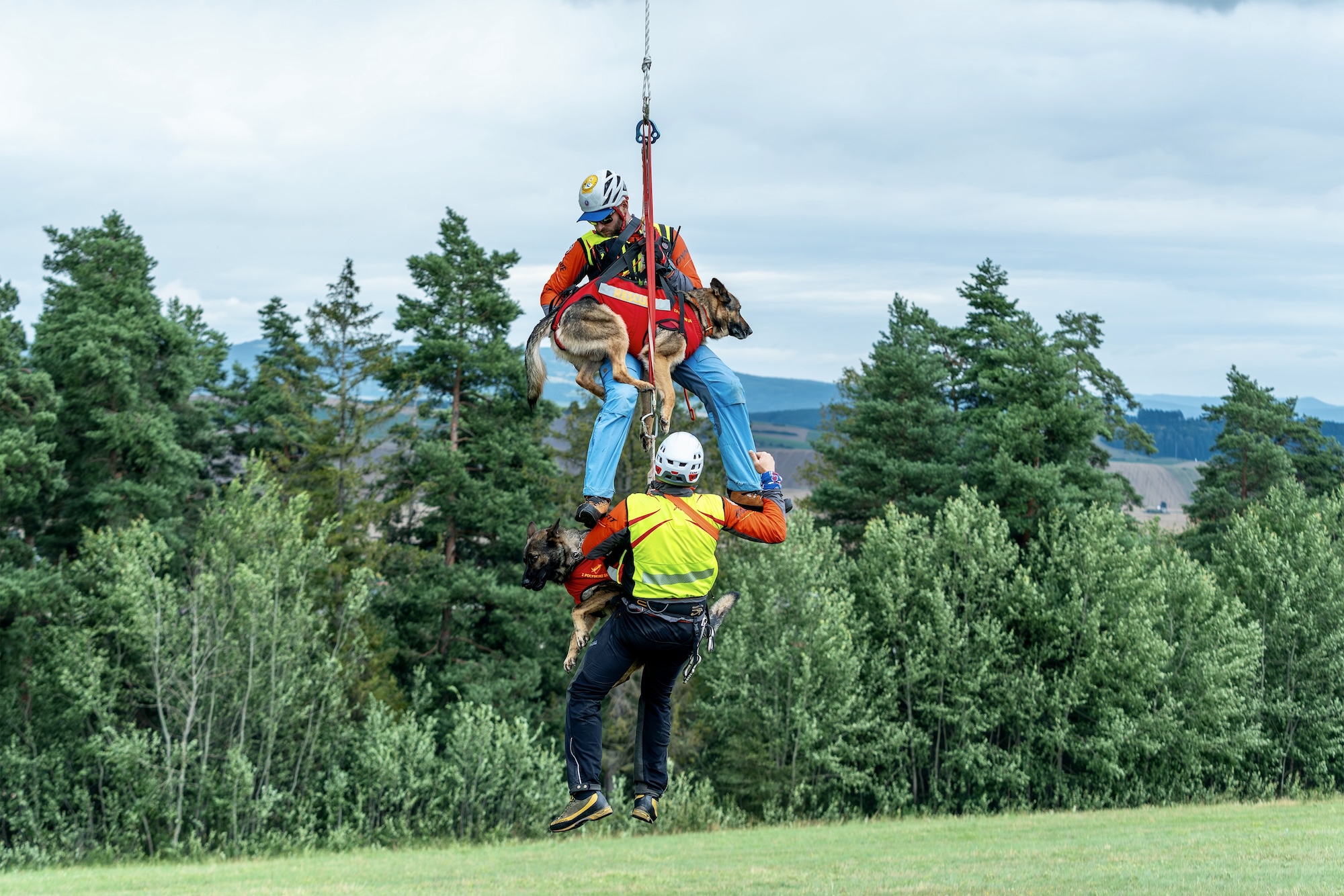 Hector: Neobyčajný príbeh záchranárskeho psa spod Tatier  