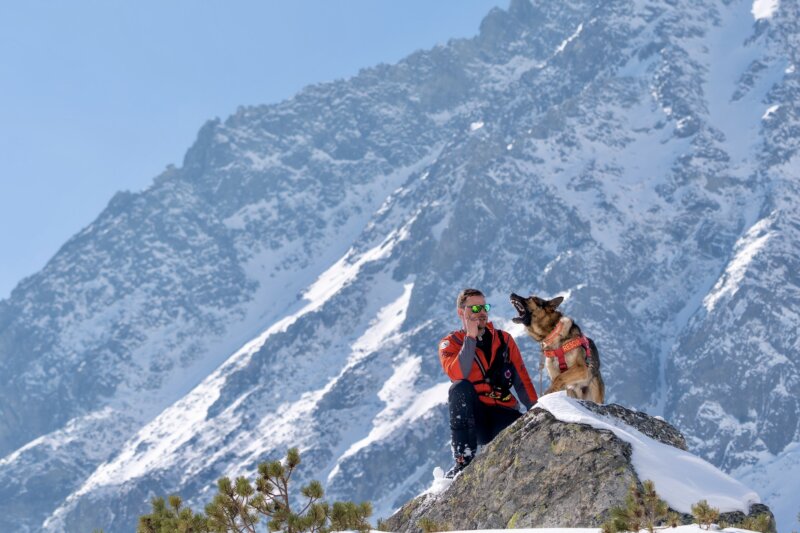 Hector: Neobyčajný príbeh záchranárskeho psa spod Tatier  