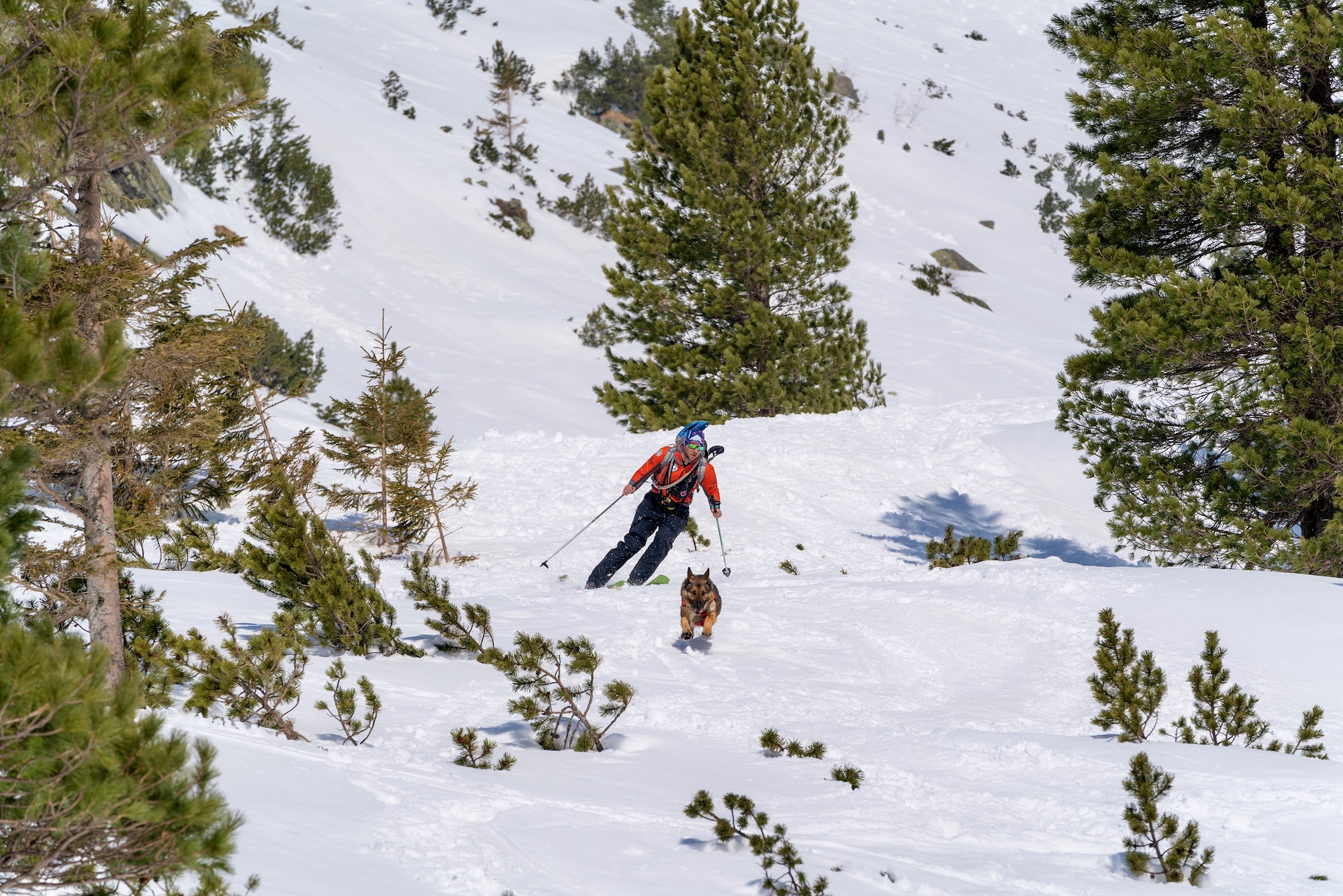 Hector: Neobyčajný príbeh záchranárskeho psa spod Tatier  