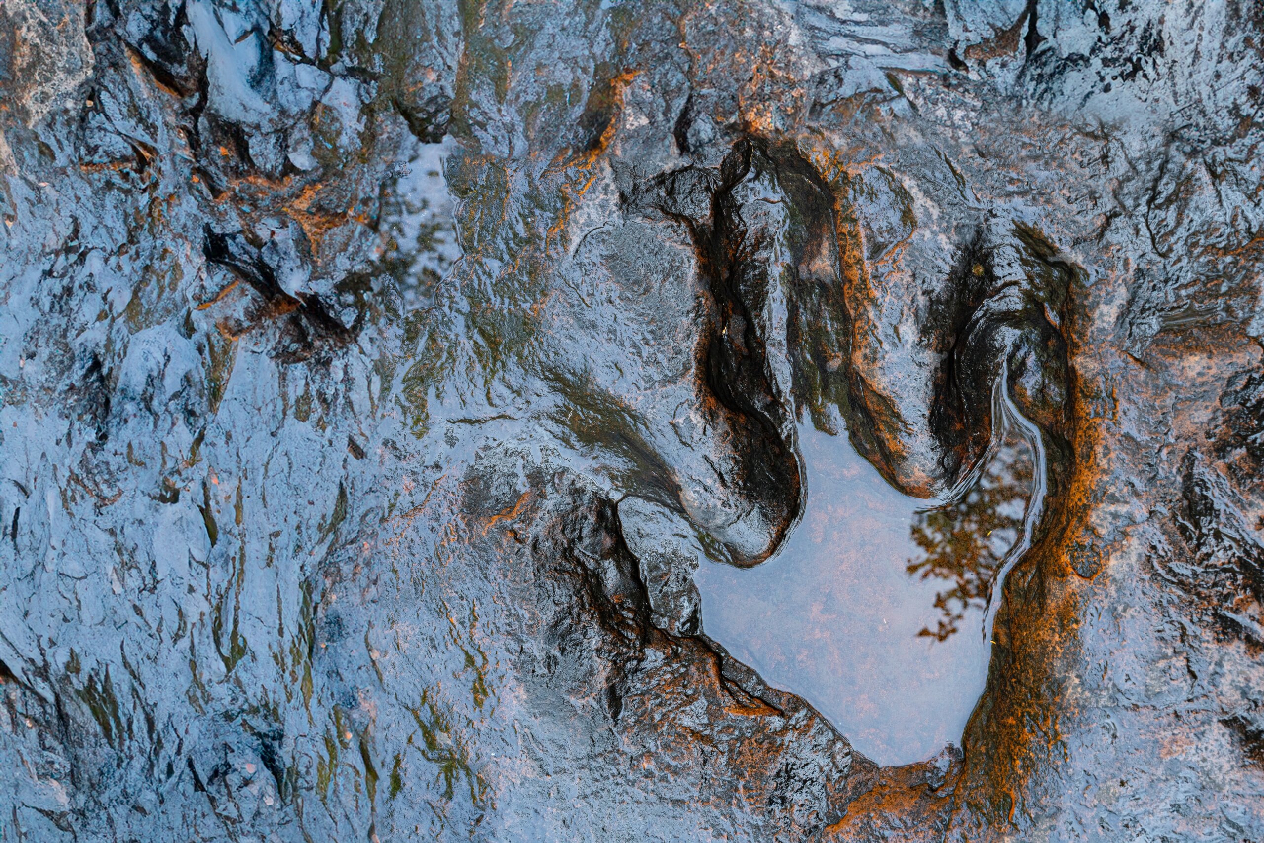 Ako je možné, že sa zachovali stopy dinosaurov?