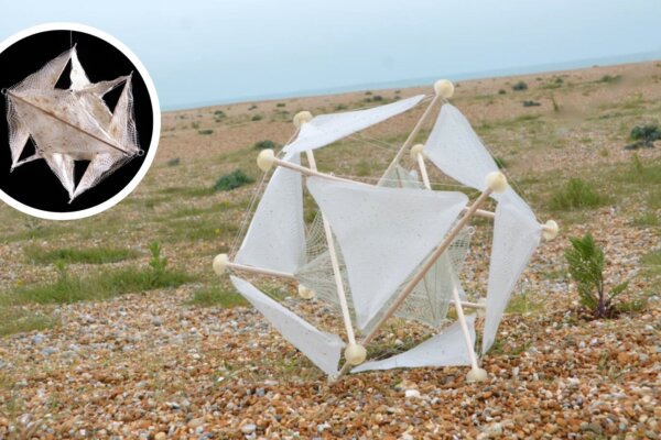 Bionická rastlina na obnovu pôdy.