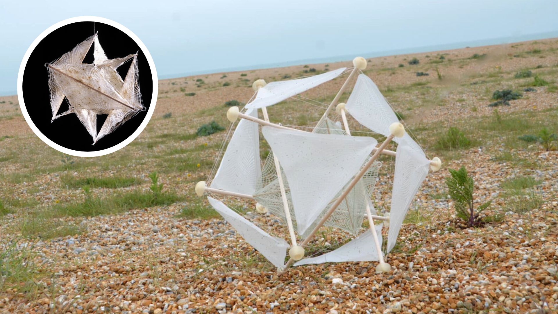 Bionická rastlina obnoví zdevastovanú pôdu