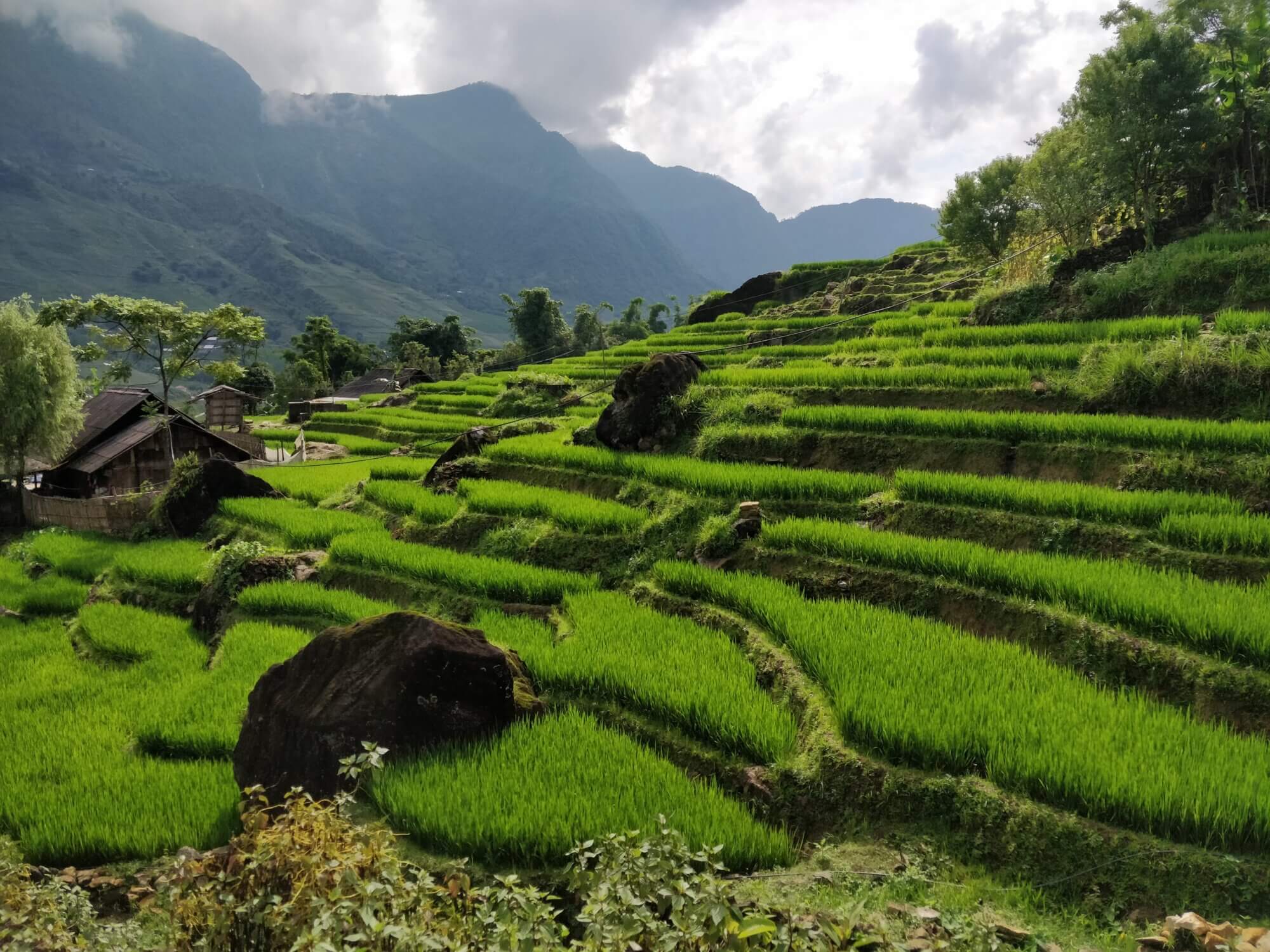 Vietnam, cestovanie s BUBO