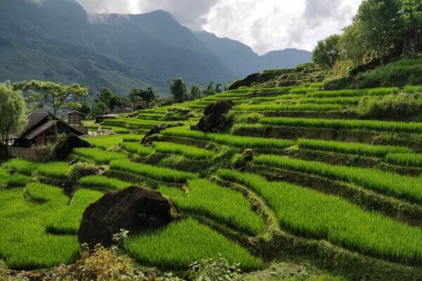 Vietnam, cestovanie s BUBO