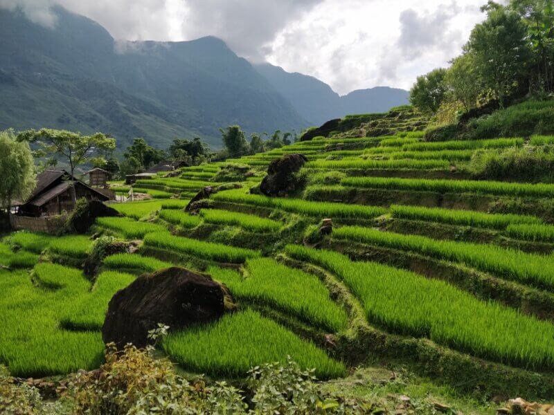 Vietnam, cestovanie s BUBO