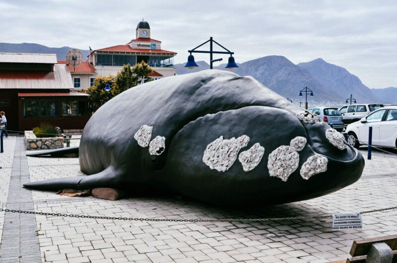 Afrika, cestovanie s BUBO