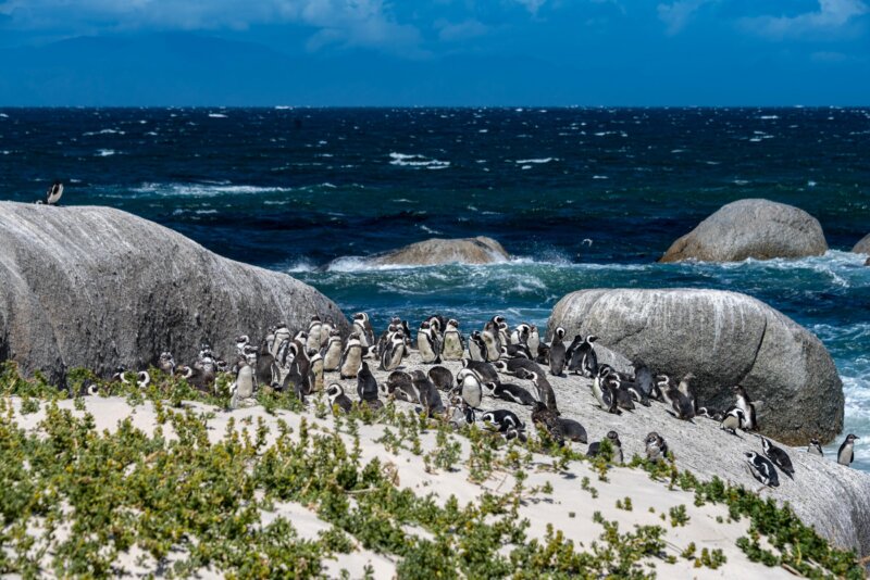 Afrika, cestovanie s BUBO