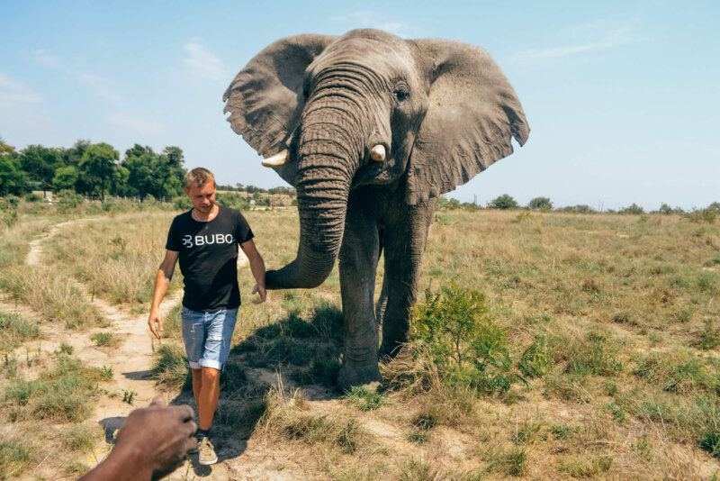 Afrika, cestovanie s BUBO