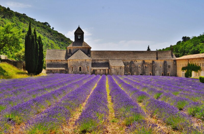 Cannes, dovolenka s BUBO
