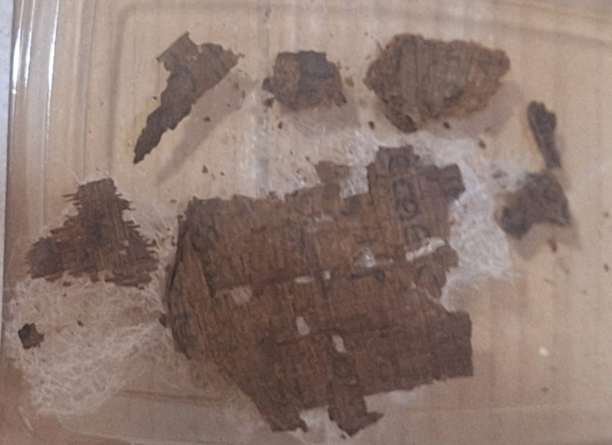 V egyptskej múmii našli natlačený úryvok z Homérovej Iliady