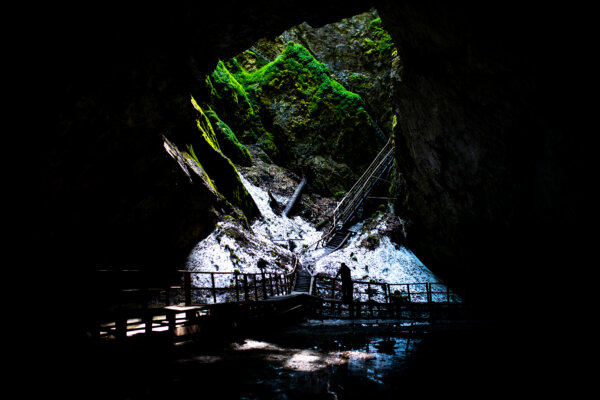 Rozmrazené baktérie staré 5 000 rokov odolávajú moderným antibiotikám