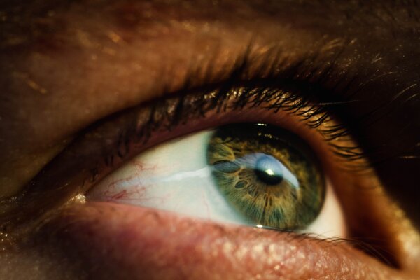 Mozog počíta skôr, ako má všetky informácie. Ukázali to zreničky