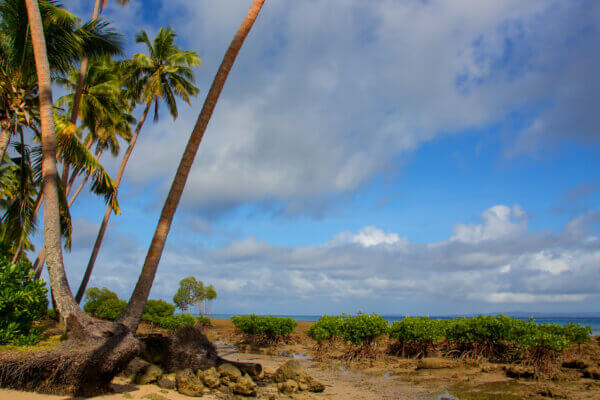Umelý ostrov vytvorili ľudia pred 1 300 rokmi.