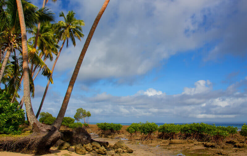 Umelý ostrov vytvorili ľudia pred 1 300 rokmi.