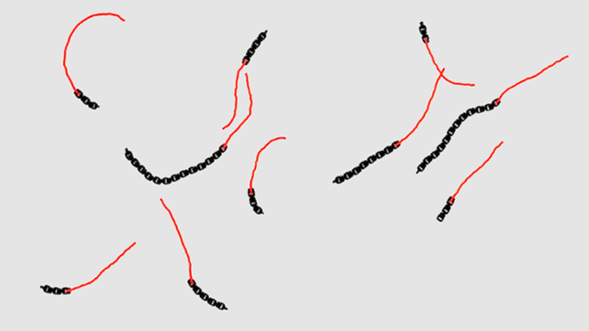 Mikroroboty, ktoré sa hýbu bez mozgu aj inštrukcií: Ako je to možné?