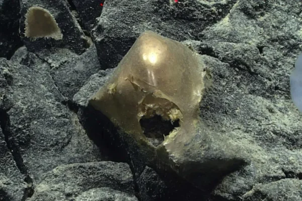 Záhada zlatej gule: Čo našli na morskom dne pri Aljaške?