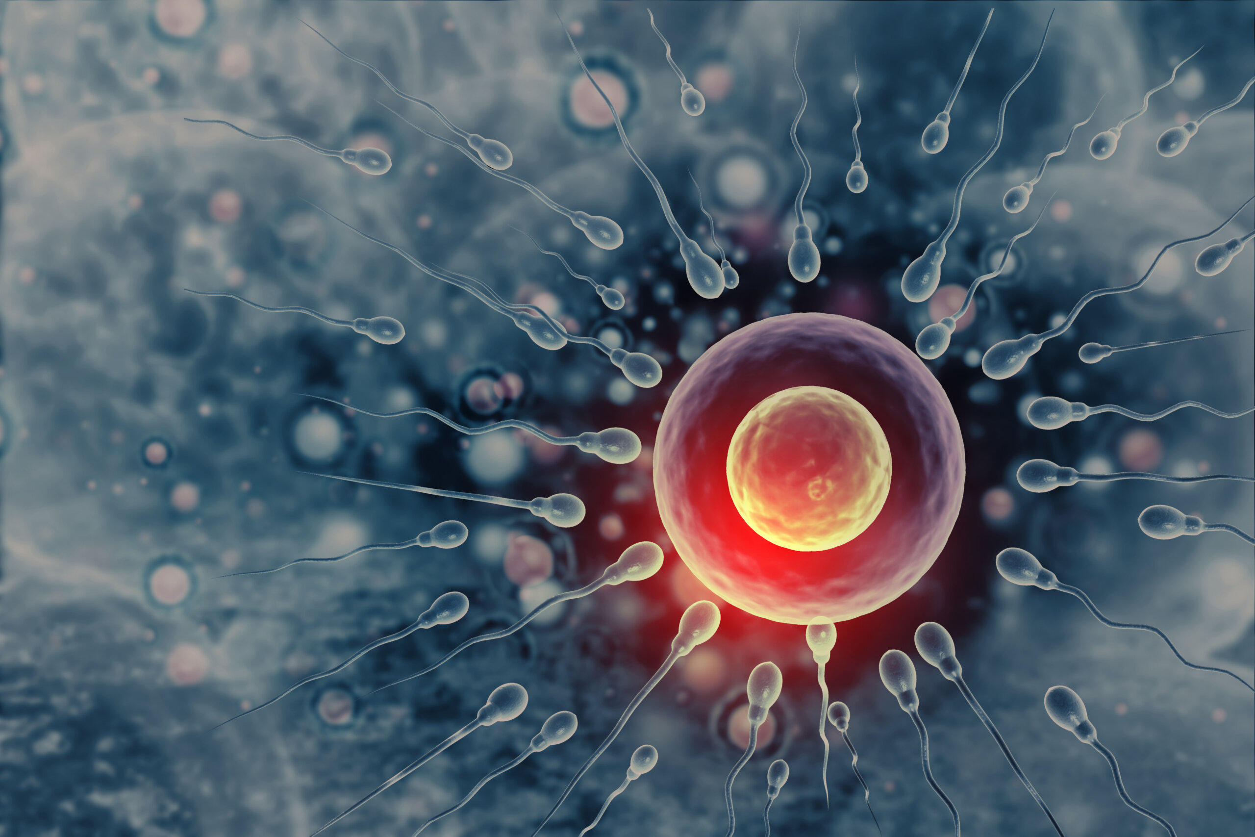 Vesmírne deti zatiaľ nebudú: Spermie sú vo vesmíre dezorientované