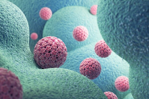 Vírusy komunikujú aj klamú.