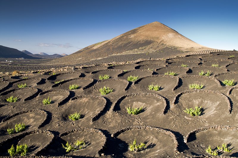 La Geria, Lanzarote.