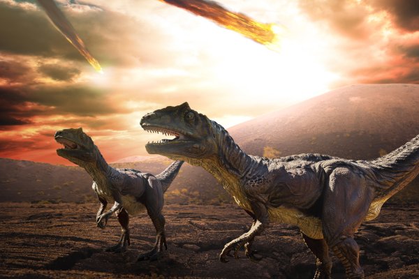 Čo zožralo dinosaury? A čo sa dialo po dopade asteroidu?