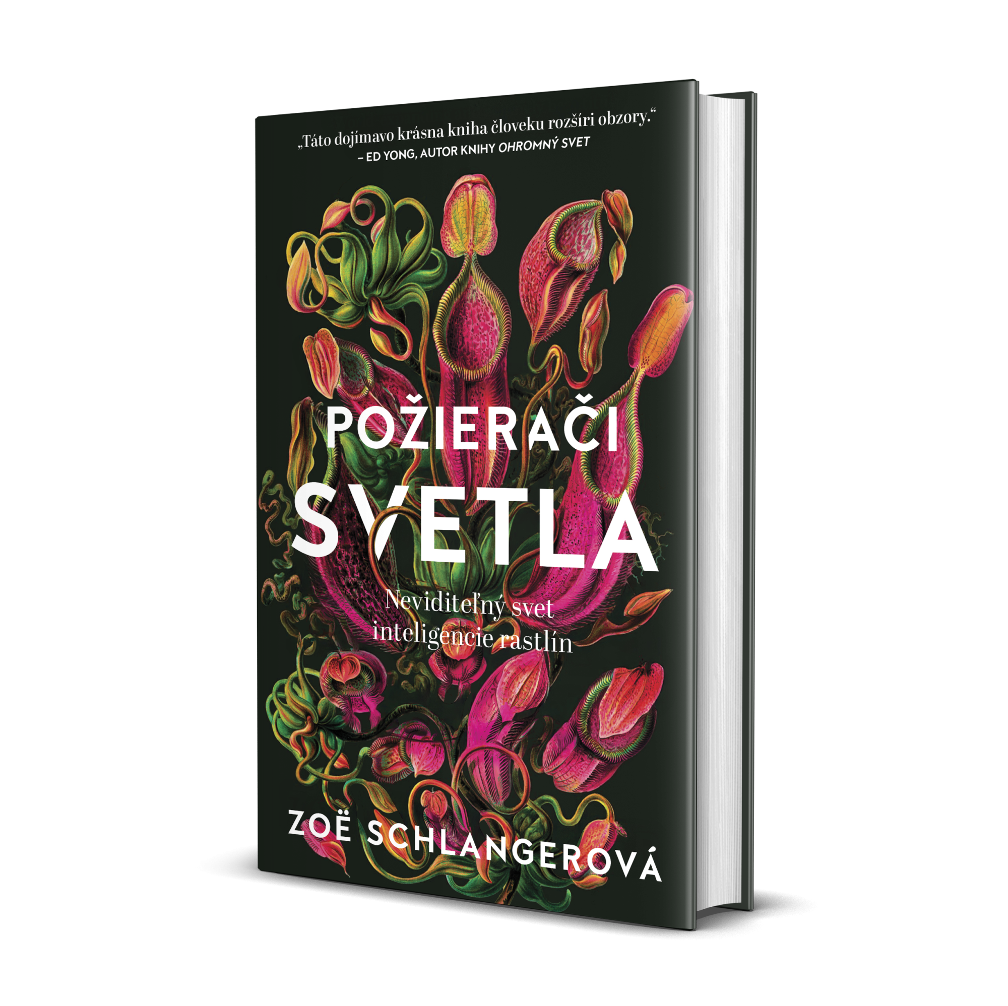 požierači svetla