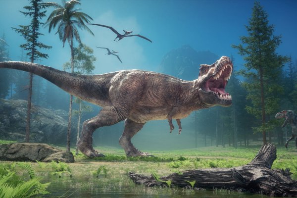 Prečo mal Tyrannosaurus rex také maličké ručičky?