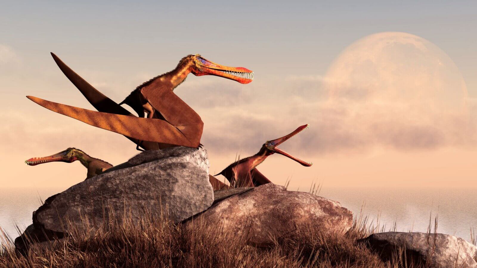 Na kostiach pterosaura objavili organické molekuly. Zistili, čo jedával
